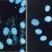Mycoplasma Removal Agent thumbnail image 1