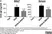 Ovalbumin thumbnail image 1