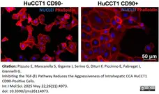 PUREBLU™ DAPI gallery image 13