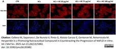PUREBLU™ DAPI gallery image 14