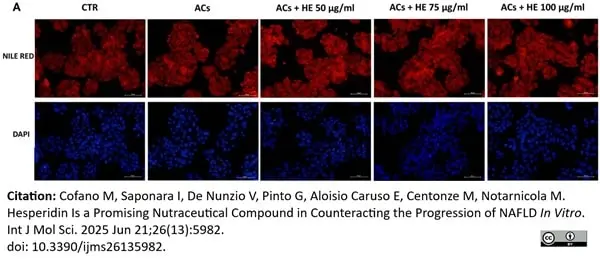 PUREBLU™ DAPI gallery image 14