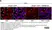 PUREBLU™ DAPI thumbnail image 15