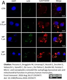 PUREBLU™ DAPI gallery image 16