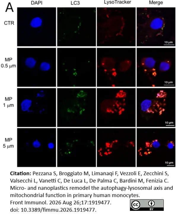 PUREBLU™ DAPI gallery image 16