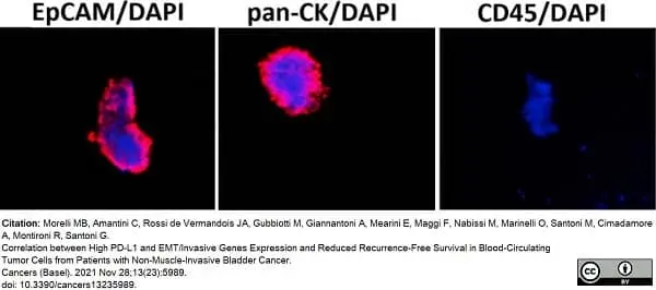 PUREBLU™ DAPI gallery image 5