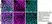 PUREBLU™ DAPI thumbnail image 9