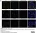 PUREBLU™ Hoechst 33342 thumbnail image 3