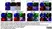 READIDROP™ Propidium Iodide thumbnail image 10