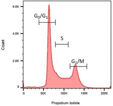 READIDROP™ Propidium Iodide gallery image 2