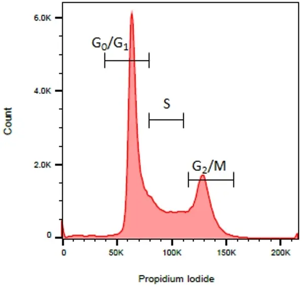 READIDROP™ Propidium Iodide gallery image 2