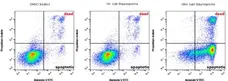 READIDROP™ Propidium Iodide gallery image 3