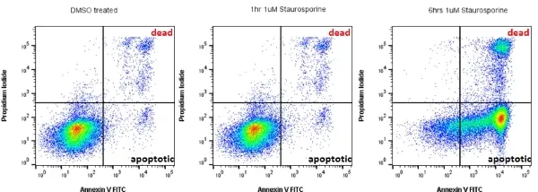 READIDROP™ Propidium Iodide gallery image 3