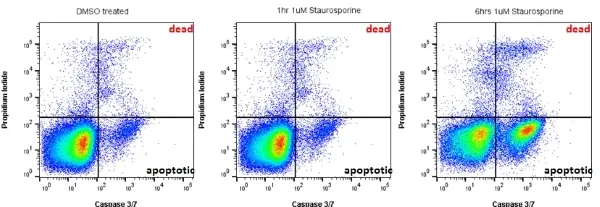 READIDROP™ Propidium Iodide gallery image 4