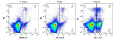 READIDROP™ Propidium Iodide gallery image 5