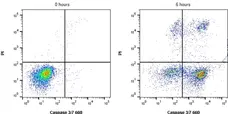 READIDROP™ Propidium Iodide gallery image 8
