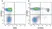 Streptavidin: StarBright Dye Conjugates thumbnail image 18