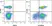 Streptavidin: StarBright Dye Conjugates thumbnail image 2