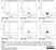 Streptavidin conjugated to RPE - lyoph thumbnail image 2