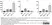 Streptavidin conjugated to HRP thumbnail image 5