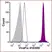 VIVAFIX™ 353/442 Cell Viability Assay thumbnail image 10
