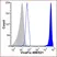 VIVAFIX™ 353/442 Cell Viability Assay thumbnail image 11