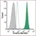 VIVAFIX™ 353/442 Cell Viability Assay thumbnail image 12