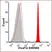 VIVAFIX™ 353/442 Cell Viability Assay thumbnail image 13