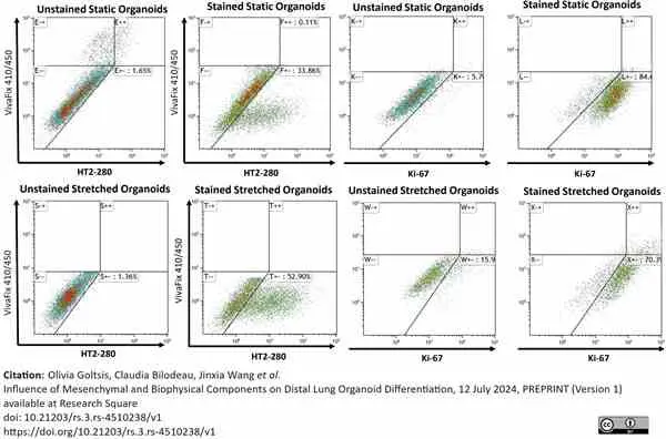 VIVAFIX™ 353/442 Cell Viability Assay gallery image 4