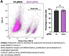VIVAFIX™ 353/442 Cell Viability Assay gallery image 5