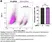 VIVAFIX™ 353/442 Cell Viability Assay thumbnail image 5