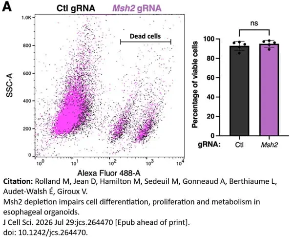 VIVAFIX™ 353/442 Cell Viability Assay gallery image 5