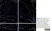Goat Serum thumbnail image 1